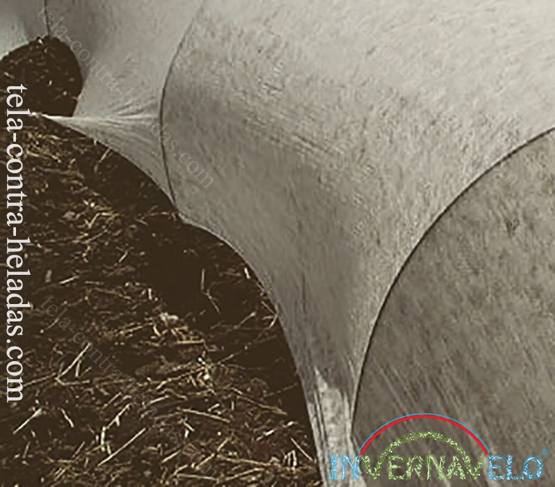 micro túnel invernavelo protegiendo cultivo en campo.